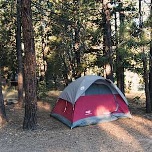 Pineknot Family Campground