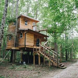 Kerry's treehouse