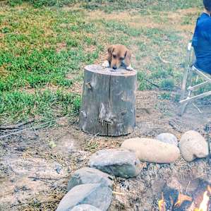 The fire pit has a log nearby which doubles as a chair or mini table.