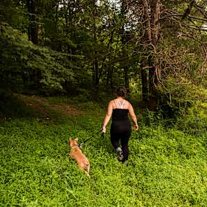 Enter the woods and follow the trail up the hill.