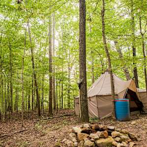 You're not far from downtown Nashville but you wouldn't know it up here surrounded by a thick forest.