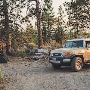 We chose campsite 1 under the grove of pine trees