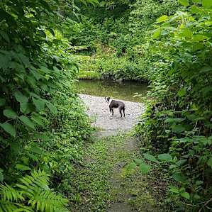 VT farm on trout stream