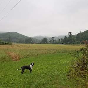VT farm on trout stream
