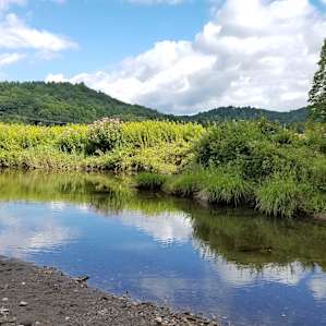 VT farm on trout stream