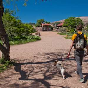 Walk-in Campsites