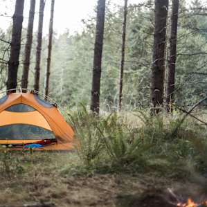 tent forest lodging