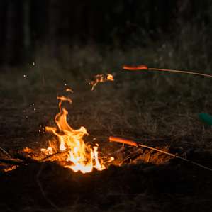 food campfire hotdog