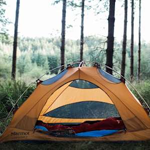 tent forest lodging