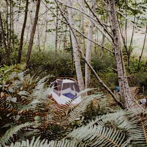 Nestled away on the mossy knoll.