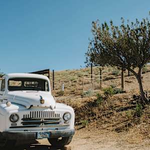 15 acre desert ranch,forest adjacen