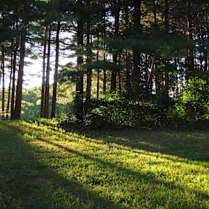 Woodsedge Retreat Cabin