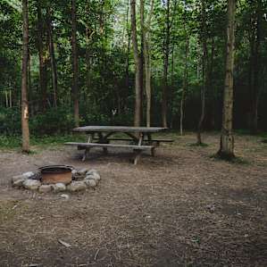 A look at the typical tent site at Cherry Hill when you first arrive!
