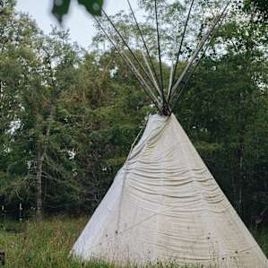 forest lodging teepee