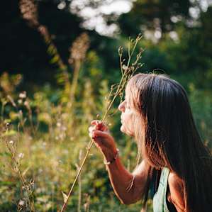 blowing dandelion seeds for wishes