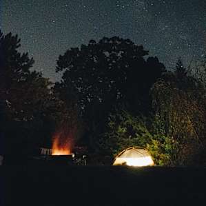 great view of the stars