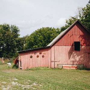 The Orchard