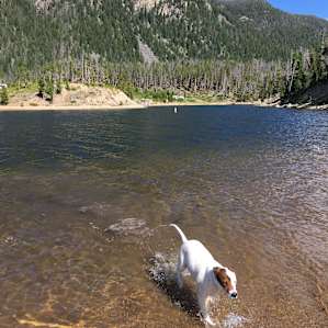 Playing fetch in Lake Granby!