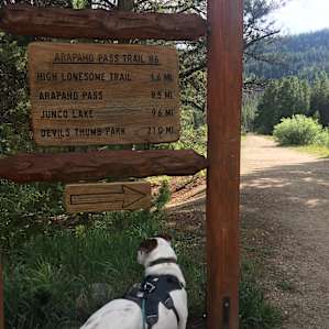 Trails for all skill levels