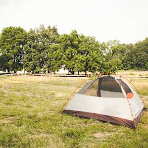 Tent with a view of the horses!