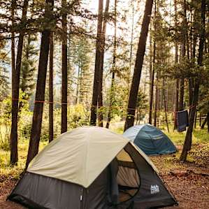 There are quite a few larger sites that can comfortably fit many tents..