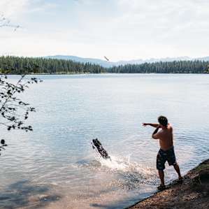 Perfect for sunbathing, swimming, or playing fetch!