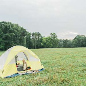 The hayfield is a perfect place to pitch a tent