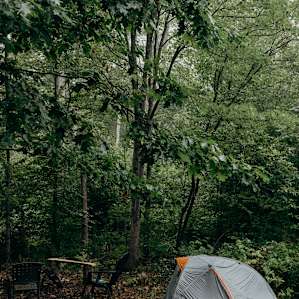 If you opt for a tent, there are a few wonderful spots. We opted to set up near the campfire!