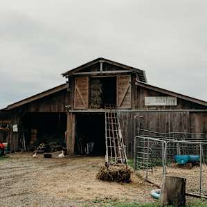 Misty Mountain Farm