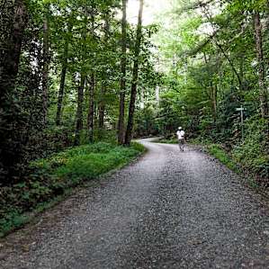 Walking our pup down to the lake!