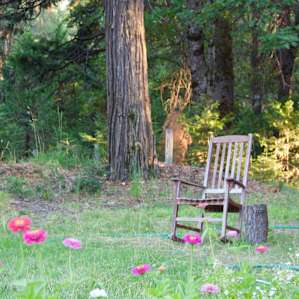 Rocking chair out front with a view of Mt Shasta