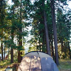 Franklin has a tent already pre set up if you don't have your own tent. This is it!