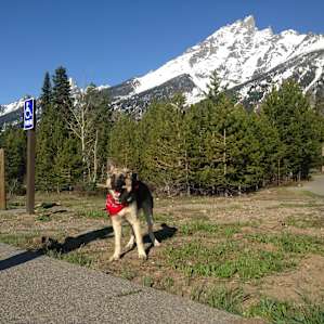 Jenny Lake Campground