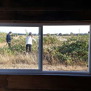 View if the girls picking up blackberries from the cabin