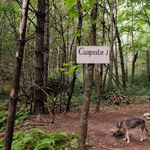 Campsite #1