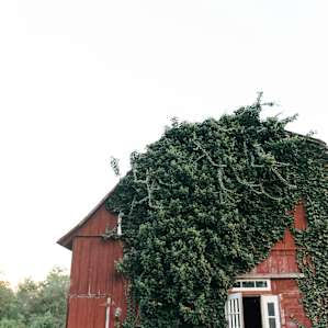 Sweet Cider Cabin