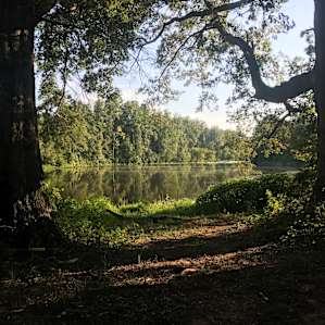 Our camping spot by the pond