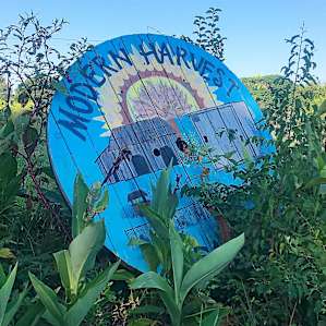 Modern Harvest Farms- The Barn Yard