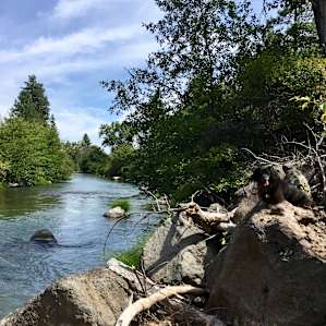 White river
