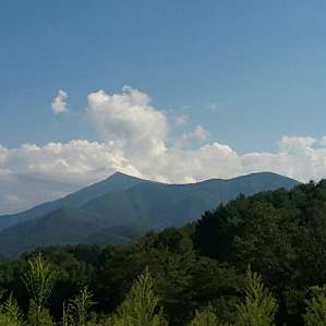 The view from the top of the hill