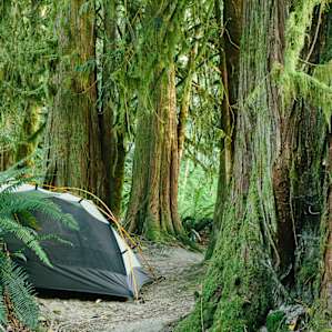 The tent site options are plentiful and BEAUTIFUL.