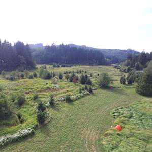 toward the creek