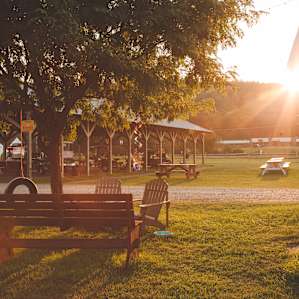 sun picnic table amenity