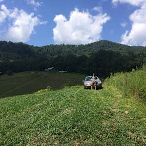 Epic View Music & Arts Farm