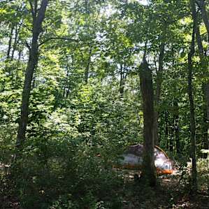 This was taken with my back to the site's view of the valley and should give you a good sense of how large the place is. (The picnic table, fire ring, and platform were situated behind me.) There's plenty of room for multiple tents.