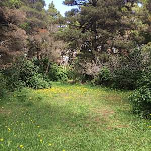 behind site 10