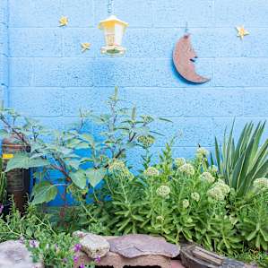 Cute plantings everywhere.