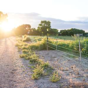 The nearby Los Poblanos Fields open space is the perfect spot to take an evening walk.
