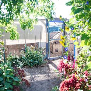 Farm yard and garden.