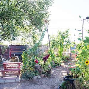 Enjoy the yard on your visit!